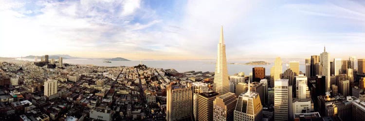 High angle view of a cityTransamerica Building, San Francisco, California, USA