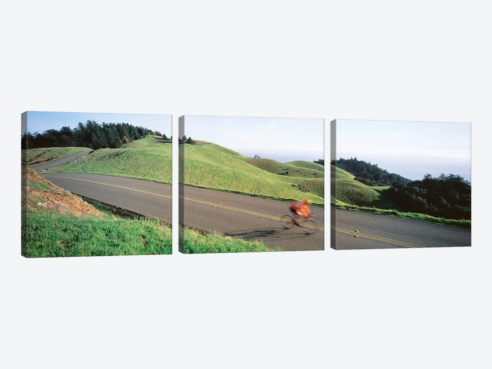 High Angle view of Man riding a bicycle, Bolinas Ridge, Marin County, California, USA by Panoramic Images 3-piece Art Print