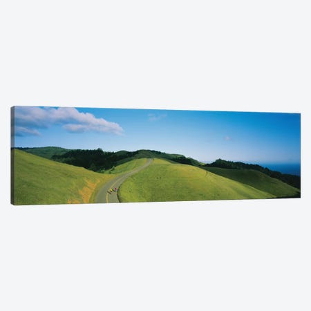 High Angle View Of Two People Cycling On The Road, Marin County, California, USA Canvas Print #PIM12289} by Panoramic Images Art Print