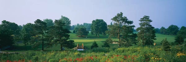 Golf: Trees on a golf course, Des Moines Golf And Country Club, Des Moines, Iowa, USA by Panoramic Images