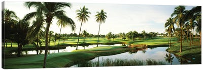 Golf course Palm Trees at Isla Navadad Resort in Manzanillo, Colima, Mexico Canvas Art Print - Golf Art