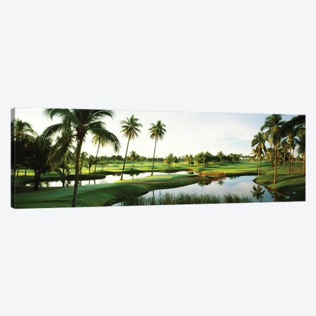 Golf course Palm Trees at Isla Navadad Resort in Manzanillo, Colima, Mexico Canvas Print #PIM12427} by Panoramic Images Canvas Art