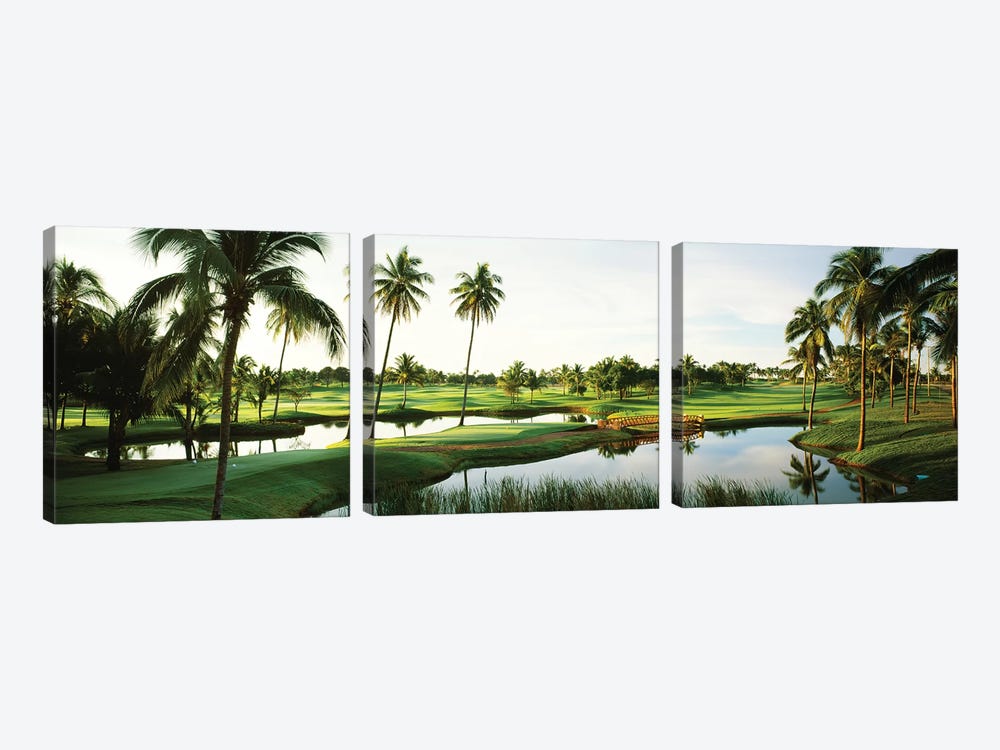 Golf course Palm Trees at Isla Navadad Resort in Manzanillo, Colima, Mexico by Panoramic Images 3-piece Canvas Artwork