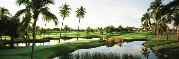 Mexico: Golf course Palm Trees at Isla Navadad Resort in Manzanillo, Colima, Mexico by Panoramic Images