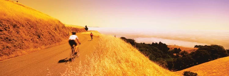 Cyclists on a road, Mt Tamalpais, Marin County, California, USA