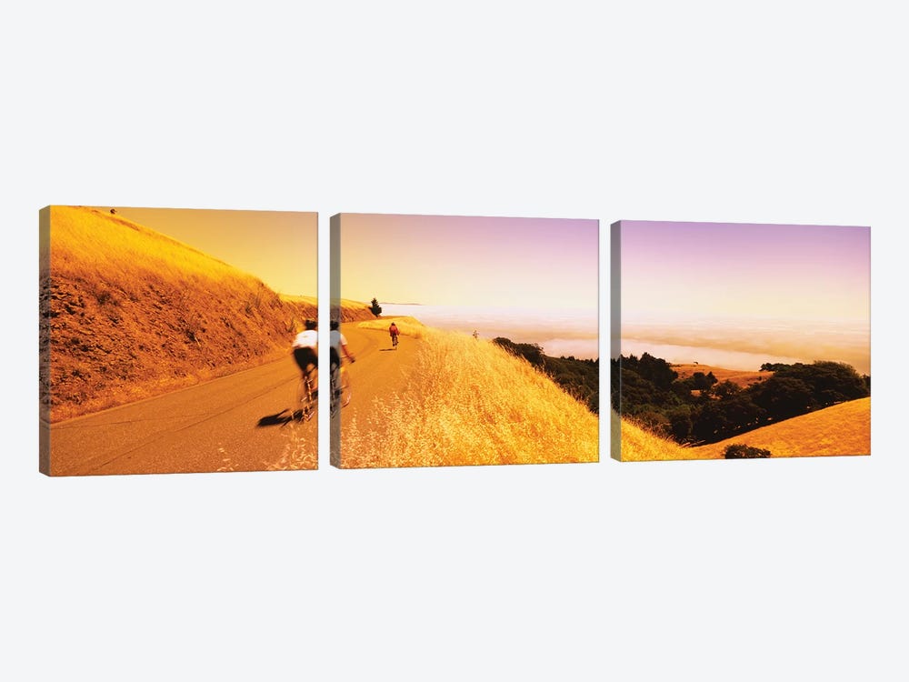 Cyclists on a road, Mt Tamalpais, Marin County, California, USA by Panoramic Images 3-piece Canvas Art
