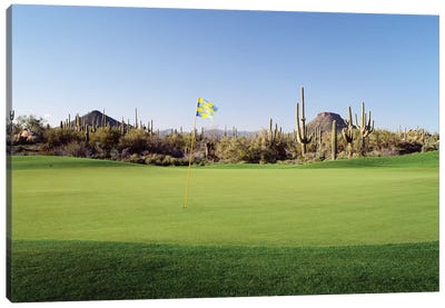 Golf flag in a golf course, Troon North Golf Club, Scottsdale, Maricopa County, Arizona, USA Canvas Art Print - Golf Art