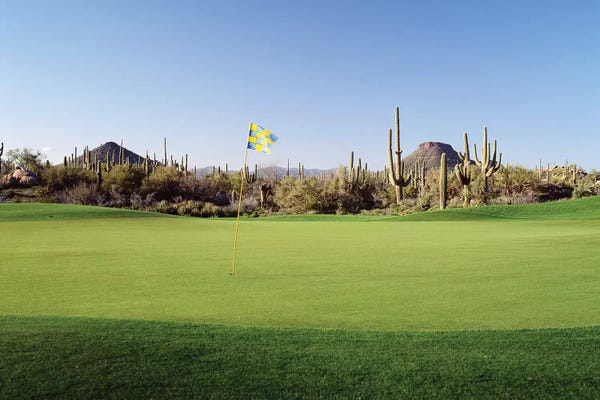 Golf: Golf flag in a golf course, Troon North Golf Club, Scottsdale, Maricopa County, Arizona, USA by Panoramic Images