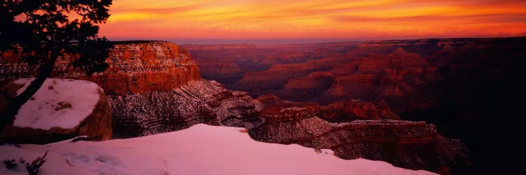 Rock formations on a landscape, Grand Canyon National Park, Arizona, USA by Panoramic Images wall art