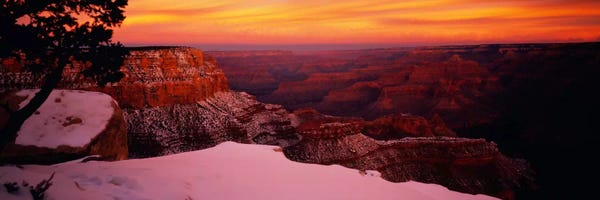 Arizona: Rock formations on a landscape, Grand Canyon National Park, Arizona, USA by Panoramic Images