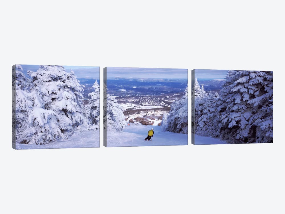 Lone Skier, Stratton Mountain Resort, Windham County, Vermont, USA by Panoramic Images 3-piece Art Print
