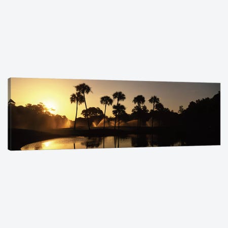 Palm Tree Silhouettes At Sunrise, Kiawah Island Golf Resort, Kiawah Island, Charleston County, South Carolina, USA Canvas Print #PIM12535} by Panoramic Images Canvas Art