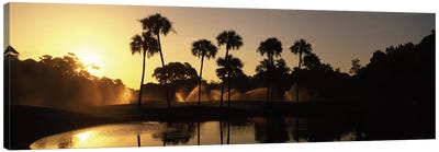 Palm Tree Silhouettes At Sunrise, Kiawah Island Golf Resort, Kiawah Island, Charleston County, South Carolina, USA Canvas Art Print - Charleston