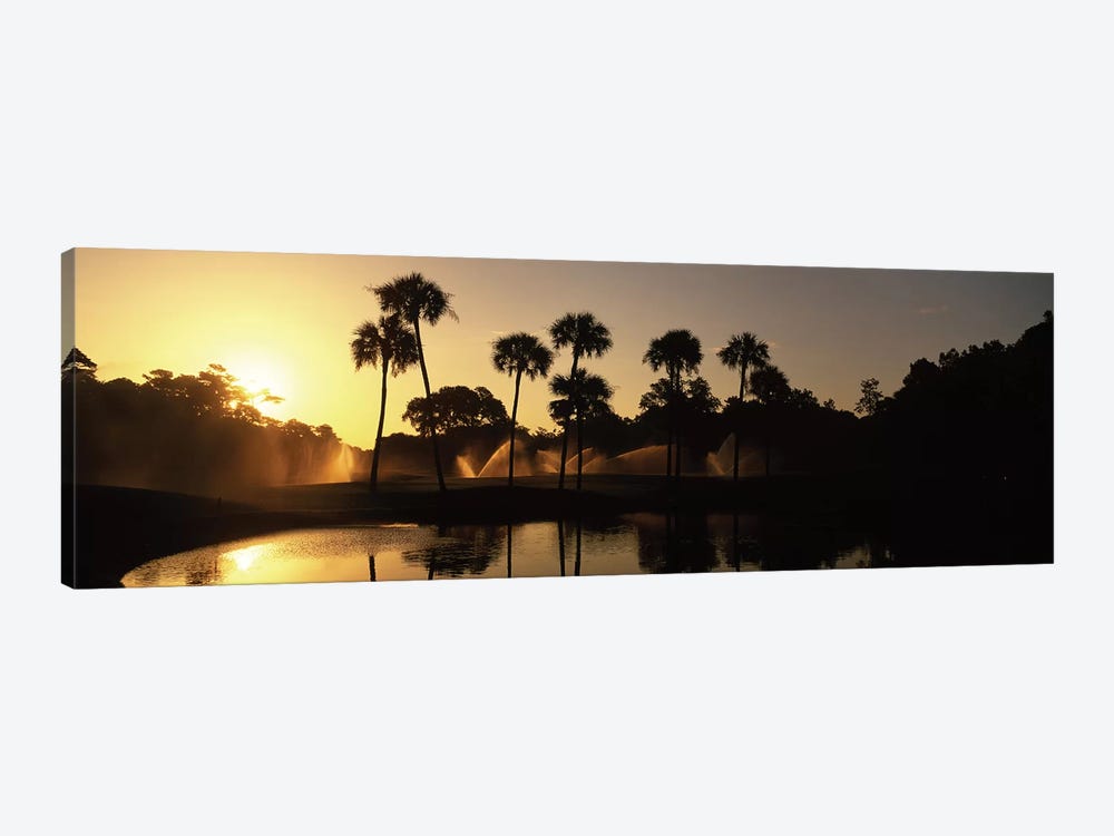 Palm Tree Silhouettes At Sunrise, Kiawah Island Golf Resort, Kiawah Island, Charleston County, South Carolina, USA by Panoramic Images 1-piece Canvas Wall Art