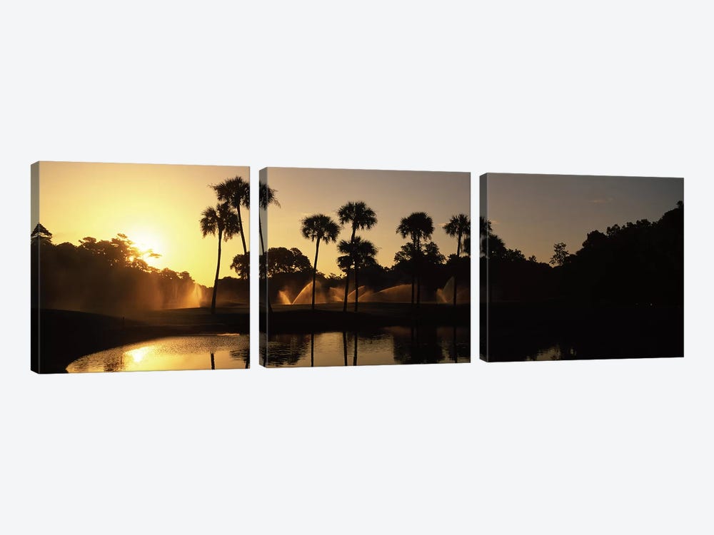 Palm Tree Silhouettes At Sunrise, Kiawah Island Golf Resort, Kiawah Island, Charleston County, South Carolina, USA by Panoramic Images 3-piece Canvas Art