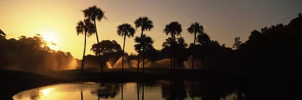 Golf: Palm Tree Silhouettes At Sunrise, Kiawah Island Golf Resort, Kiawah Island, Charleston County, South Carolina, USA by Panoramic Images