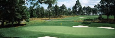 Golf course, Pine Needles Golf Course, Southern Pines, Moore County, North Carolina, USA by Panoramic Images framed canvas print