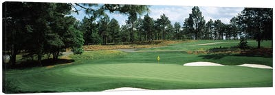 Golf course, Pine Needles Golf Course, Southern Pines, Moore County, North Carolina, USA Canvas Art Print - Golf Art