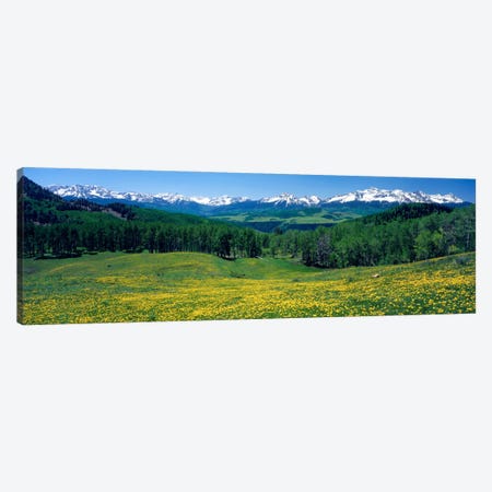 Mountain Landscape, San Miguel County, Colorado, USA Canvas Print #PIM125} by Panoramic Images Canvas Wall Art