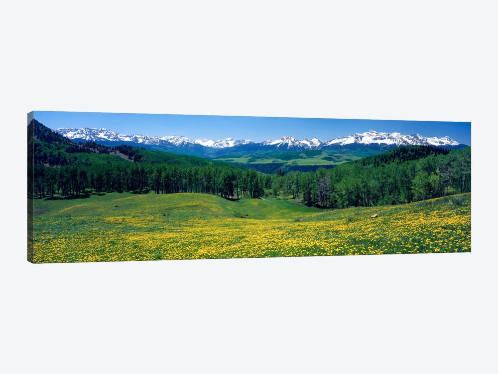 Mountain Landscape, San Miguel County, Colorado, USA by Panoramic Images 1-piece Canvas Artwork