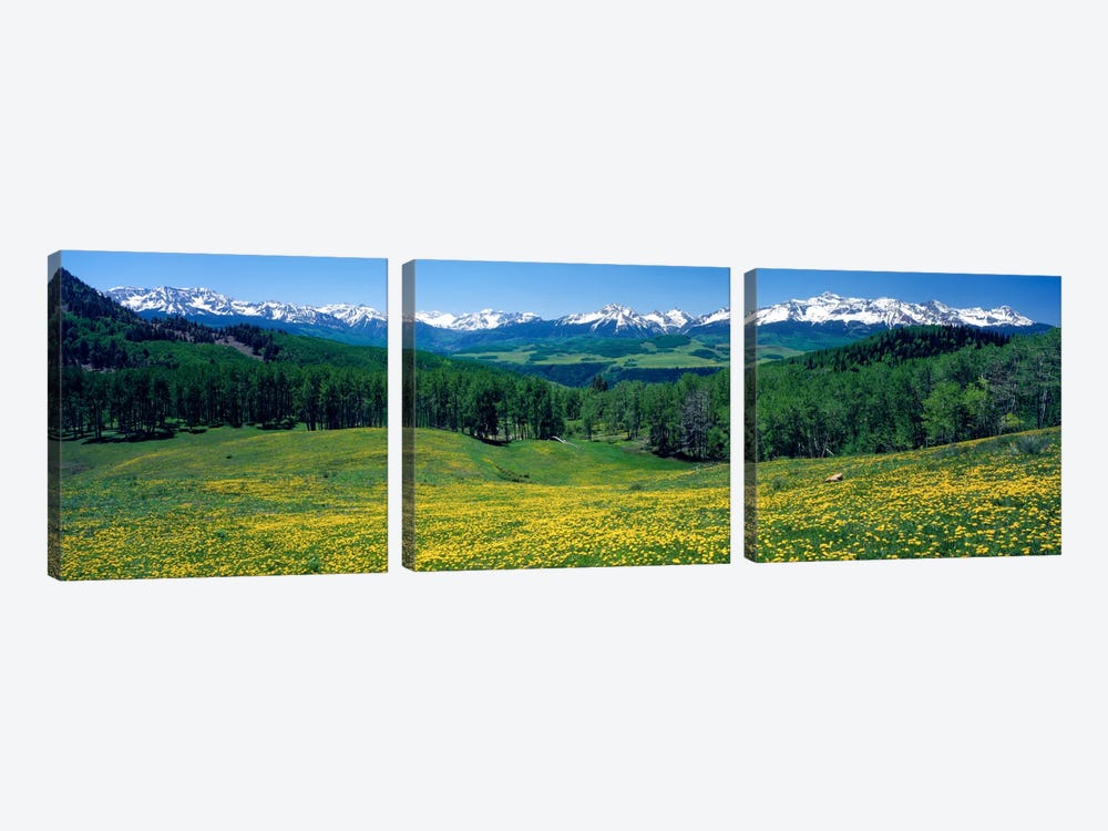 Mountain Landscape, San Miguel County, Colorado, USA by Panoramic Images 3-piece Canvas Artwork