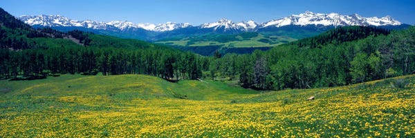 Mountain Landscape, San Miguel County, Colorado, USA