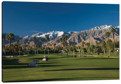 Palm trees in a golf course 4, Desert Princess Country Club, Palm Springs, Riverside County, California, USA Canvas Art Print - Golf Art