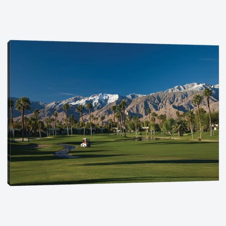 Palm trees in a golf course 4, Desert Princess Country Club, Palm Springs, Riverside County, California, USA Canvas Print #PIM12632} by Panoramic Images Canvas Wall Art