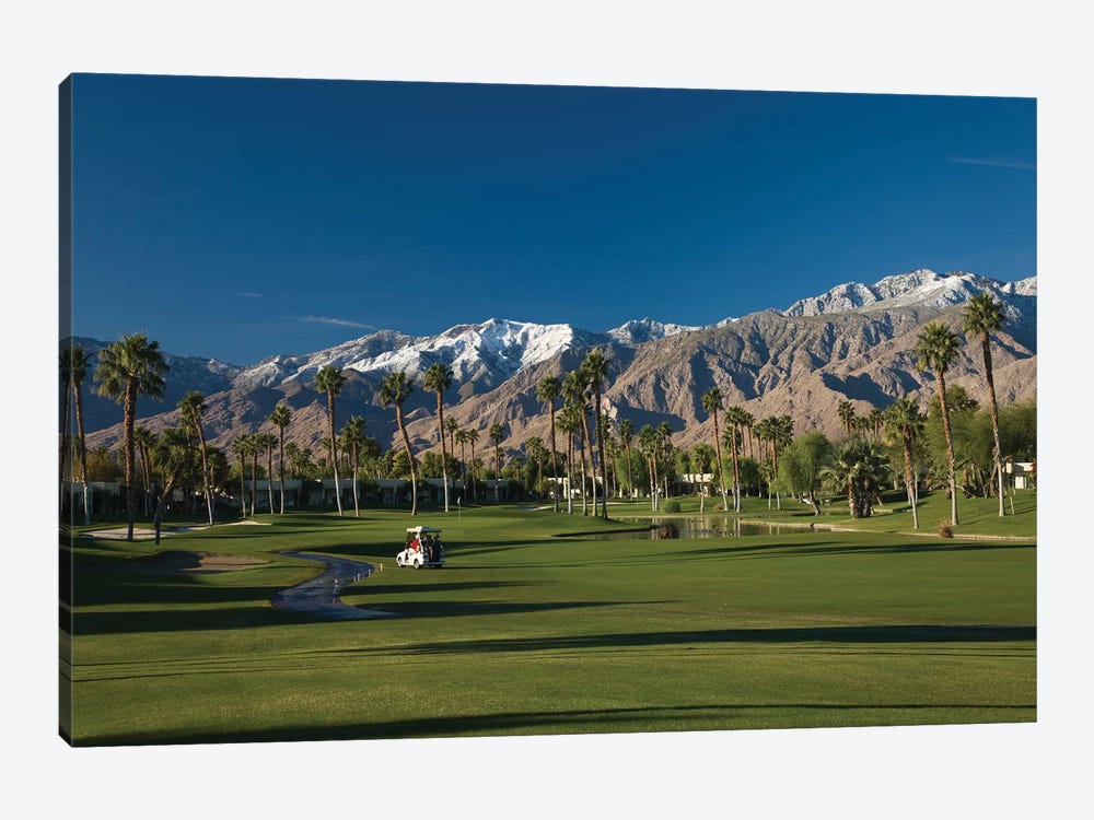 Palm trees in a golf course 4, Desert Princess Country Club, Palm Springs, Riverside County, California, USA by Panoramic Images 1-piece Canvas Print