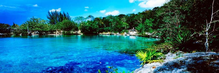 Tranquil Lagoon, Cozumel, Mexico