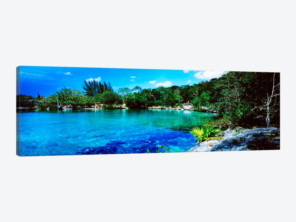 Tranquil Lagoon, Cozumel, Mexico by Panoramic Images 1-piece Canvas Wall Art