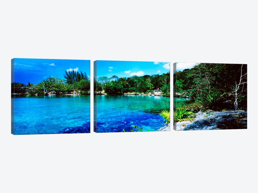 Tranquil Lagoon, Cozumel, Mexico by Panoramic Images 3-piece Canvas Artwork