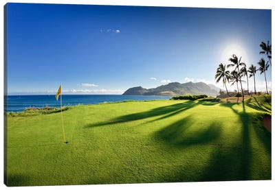 14th Hole Pin, Ocean Course, Hokuala Kaua'i Resort, Hawaii, USA Canvas Art Print - Palm Tree Art