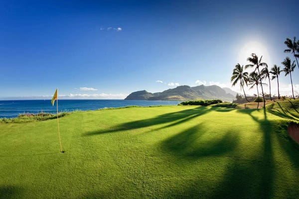 Panoramic Images: 14th Hole Pin, Ocean Course, Hokuala Kaua'i Resort, Hawaii, USA by Panoramic Images
