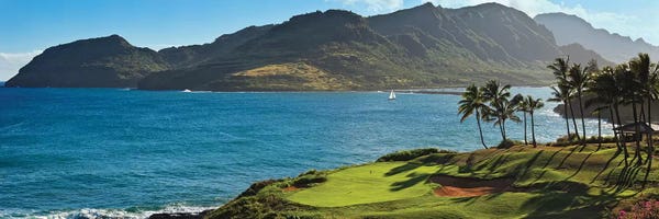 Golf: Palm trees in a golf course 2, Kauai Lagoons, Kauai, Hawaii, USA by Panoramic Images
