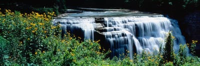 Middle Falls Of The Genesee River, Letchworth State Park, New York, USA by Panoramic Images canvas print
