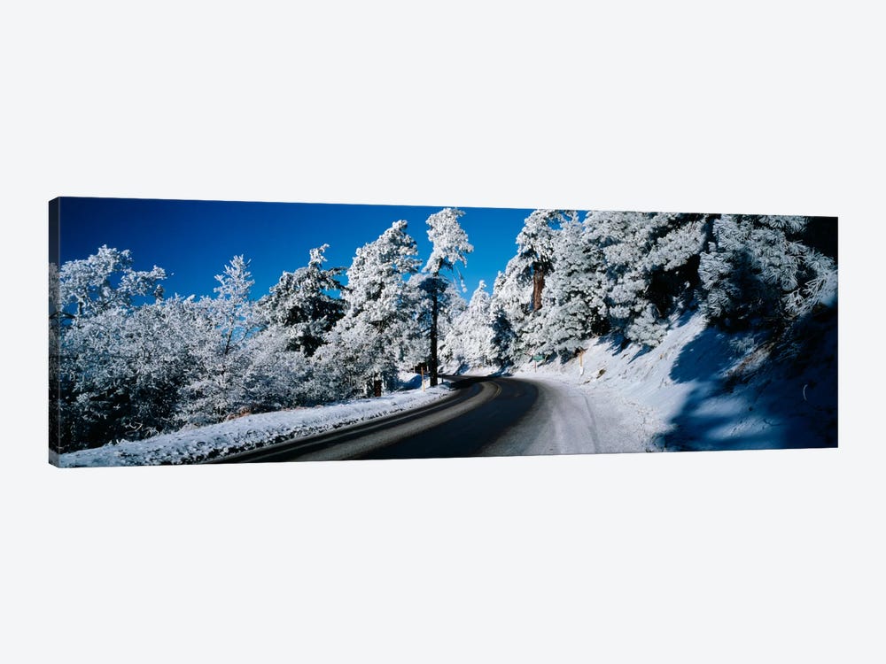 Road passing through a forestLake Arrowhead, San Bernardino County, California, USA by Panoramic Images 1-piece Canvas Art Print