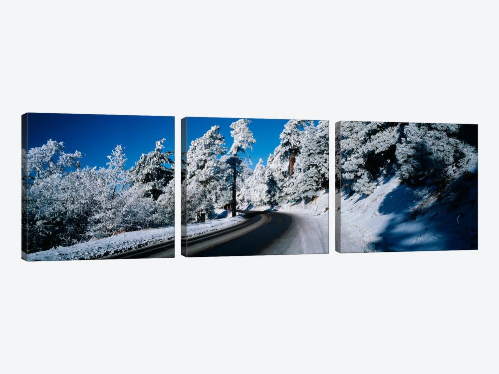 Road passing through a forestLake Arrowhead, San Bernardino County, California, USA by Panoramic Images 3-piece Canvas Art Print