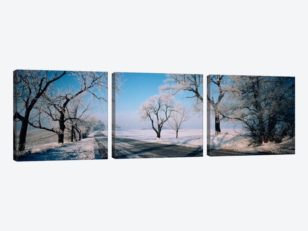 Road passing through winter fieldsIllinois, USA by Panoramic Images 3-piece Canvas Wall Art