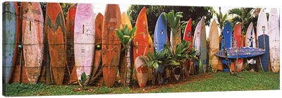 Arranged surfboards, Maui, Hawaii, USA Canvas Art Print - Maui