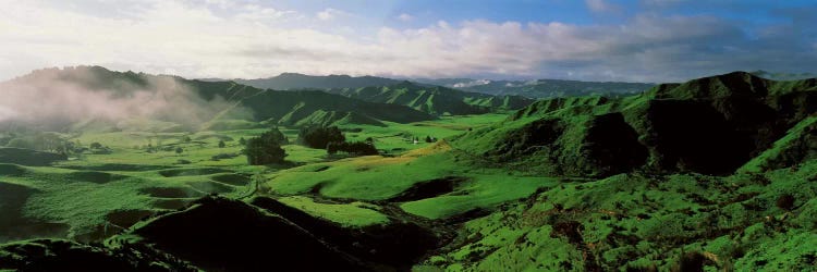 Farmland Taranaki New Zealand