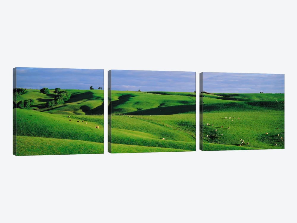 Farmland Southland New Zealand by Panoramic Images 3-piece Canvas Art