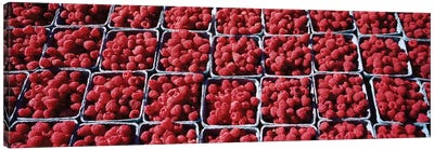 Cartons of Raspberries At A Farmer's Market, Rochester, Olmsted County, Minnesota, USA Canvas Art Print - Fruit Art