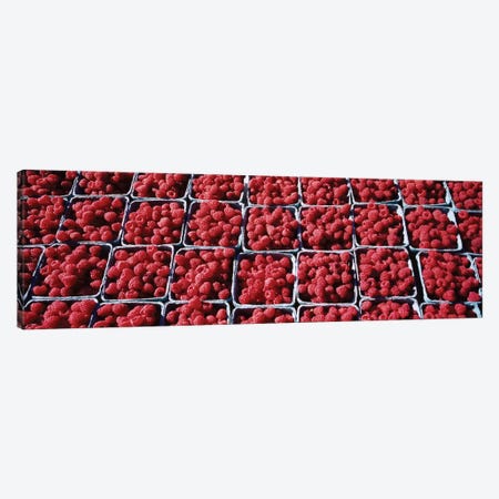 Cartons of Raspberries At A Farmer's Market, Rochester, Olmsted County, Minnesota, USA Canvas Print #PIM12908} by Panoramic Images Canvas Art