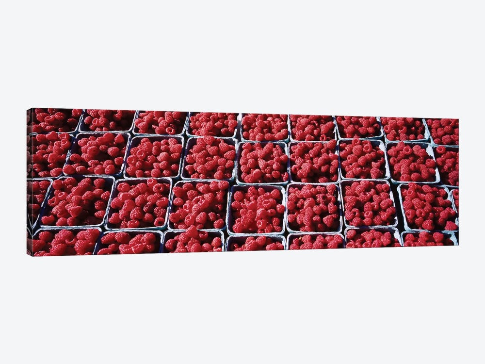 Cartons of Raspberries At A Farmer's Market, Rochester, Olmsted County, Minnesota, USA by Panoramic Images 1-piece Canvas Artwork