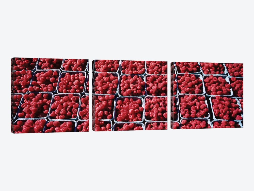 Cartons of Raspberries At A Farmer's Market, Rochester, Olmsted County, Minnesota, USA by Panoramic Images 3-piece Canvas Wall Art