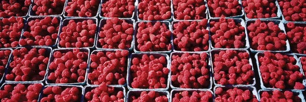 Cartons of Raspberries At A Farmer's Market, Rochester, Olmsted County, Minnesota, USA