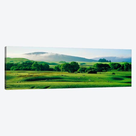 Farmland Southland New Zealand Canvas Print #PIM1290} by Panoramic Images Canvas Art