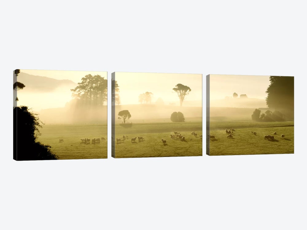 Farmland & Sheep Southland New Zealand by Panoramic Images 3-piece Canvas Wall Art
