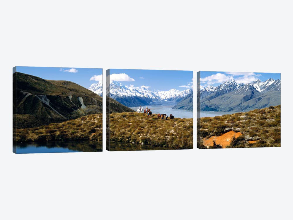 Horse Trekking Mt Cook New Zealand by Panoramic Images 3-piece Canvas Print